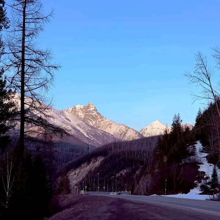 Zootrek's transport vehicle in a scenic location