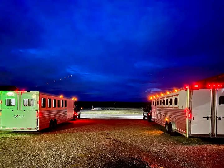 Horse transport during a break